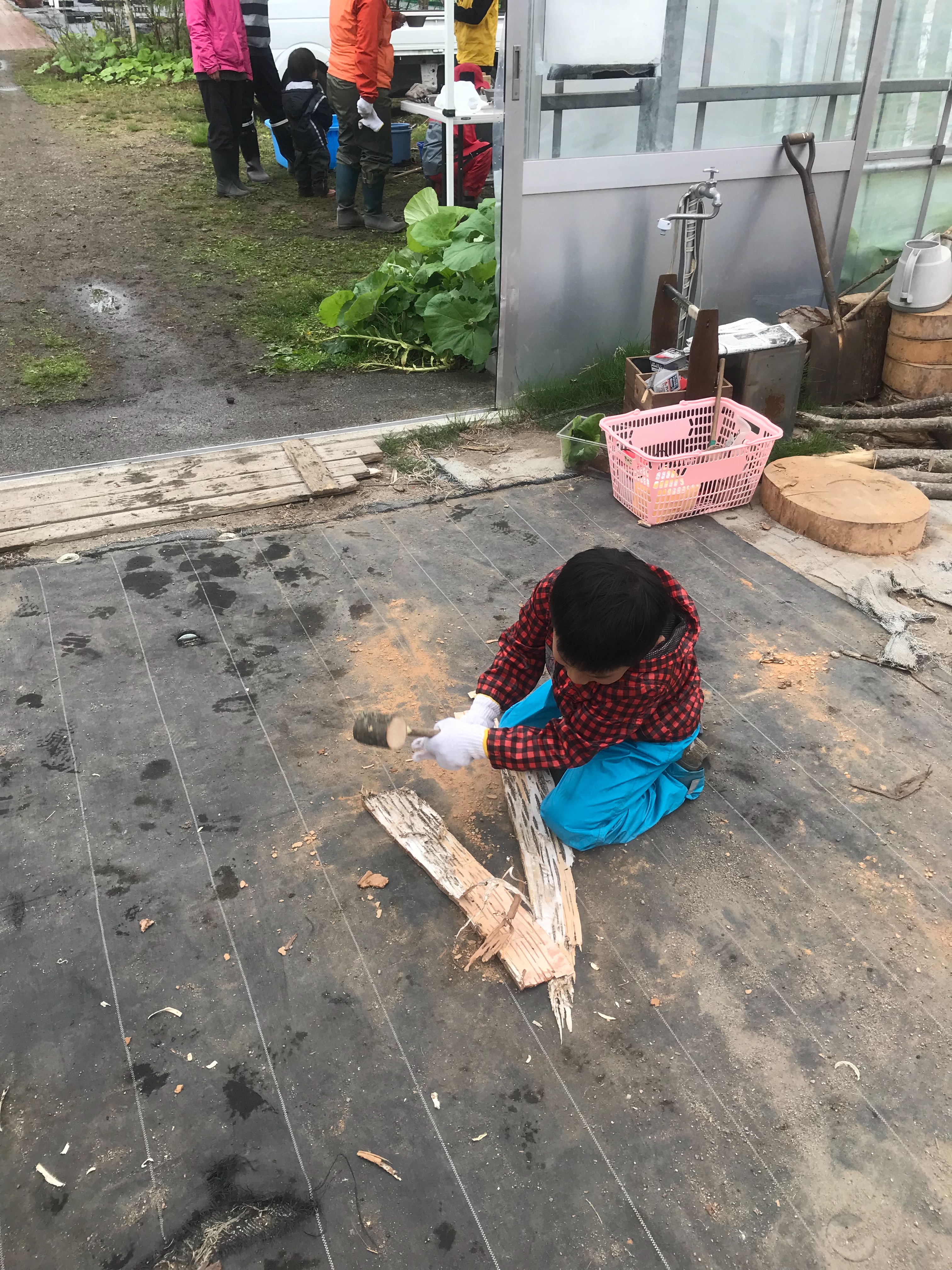 f:id:dubandpeace:20180520072706j:image