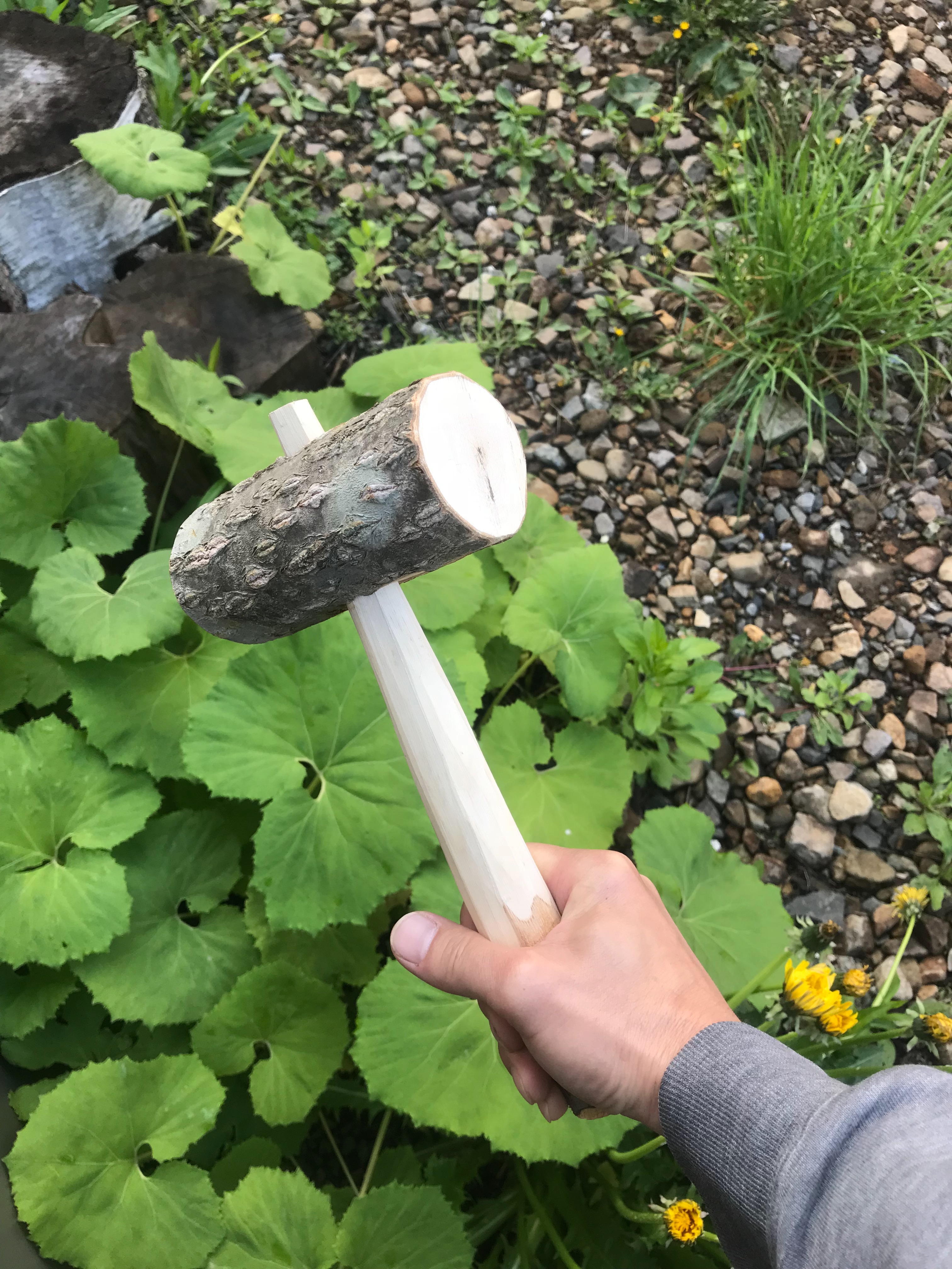 f:id:dubandpeace:20180520072729j:image