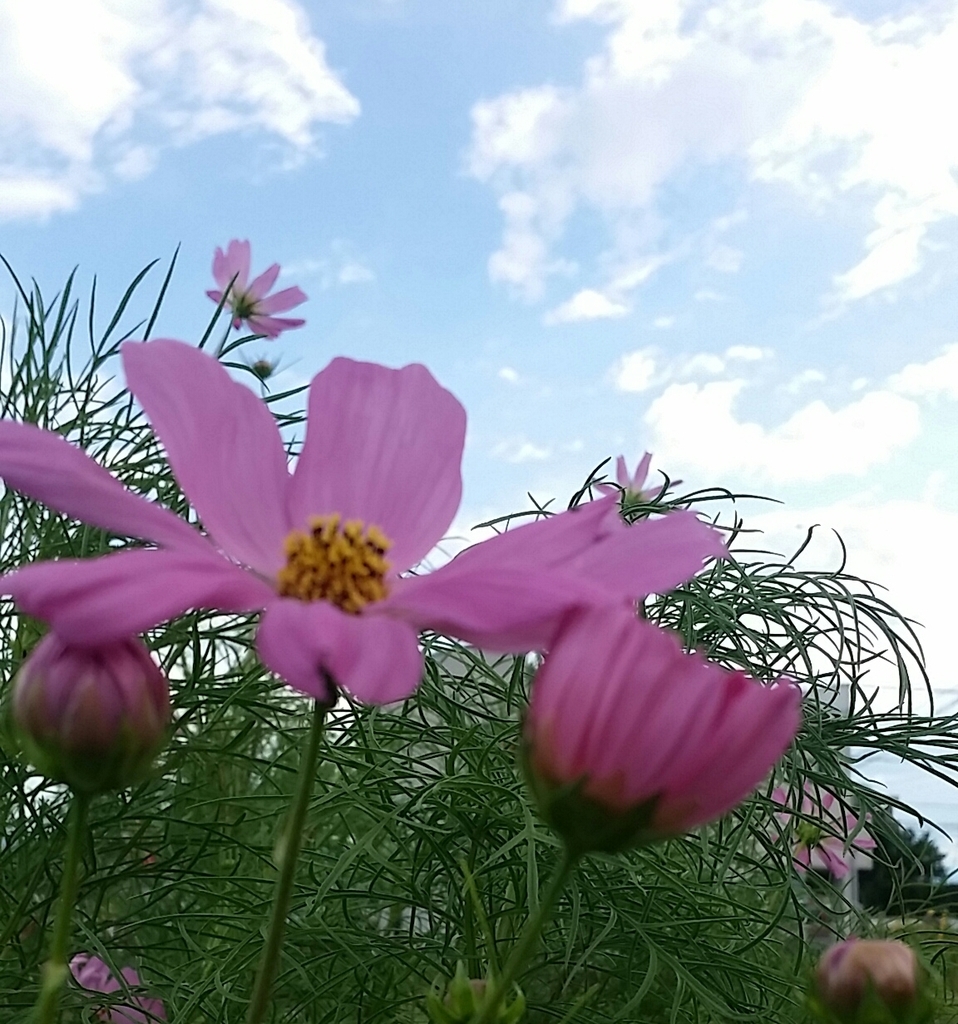 f:id:dublinworkshop:20181121085201j:plain f:id:dublinworkshop:20181121085201j:plain