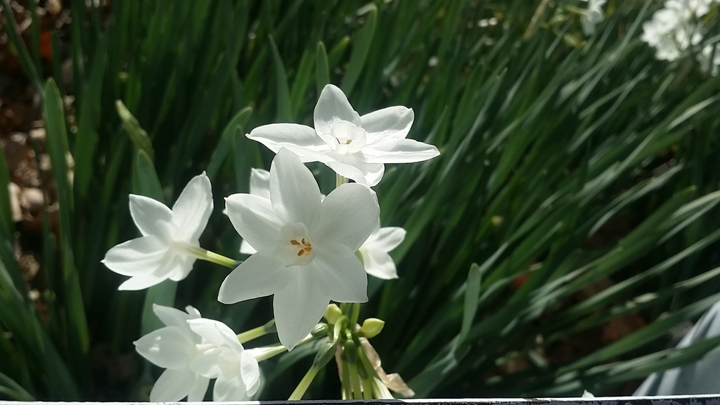 f:id:dublinworkshop:20190108111239j:plain