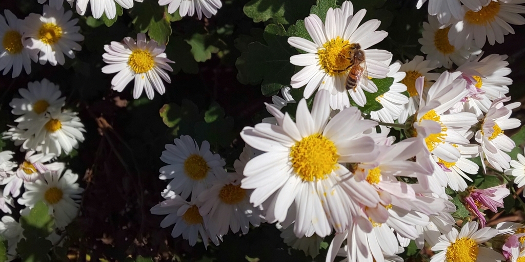 f:id:dublinworkshop:20190216093250j:plain