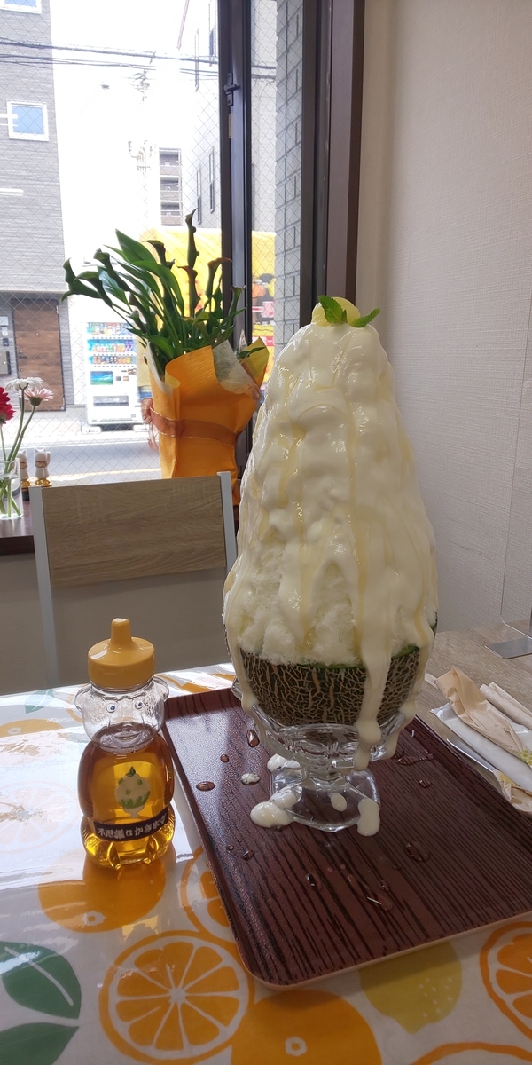 f:id:dublinworkshop:20210604222738j:plain