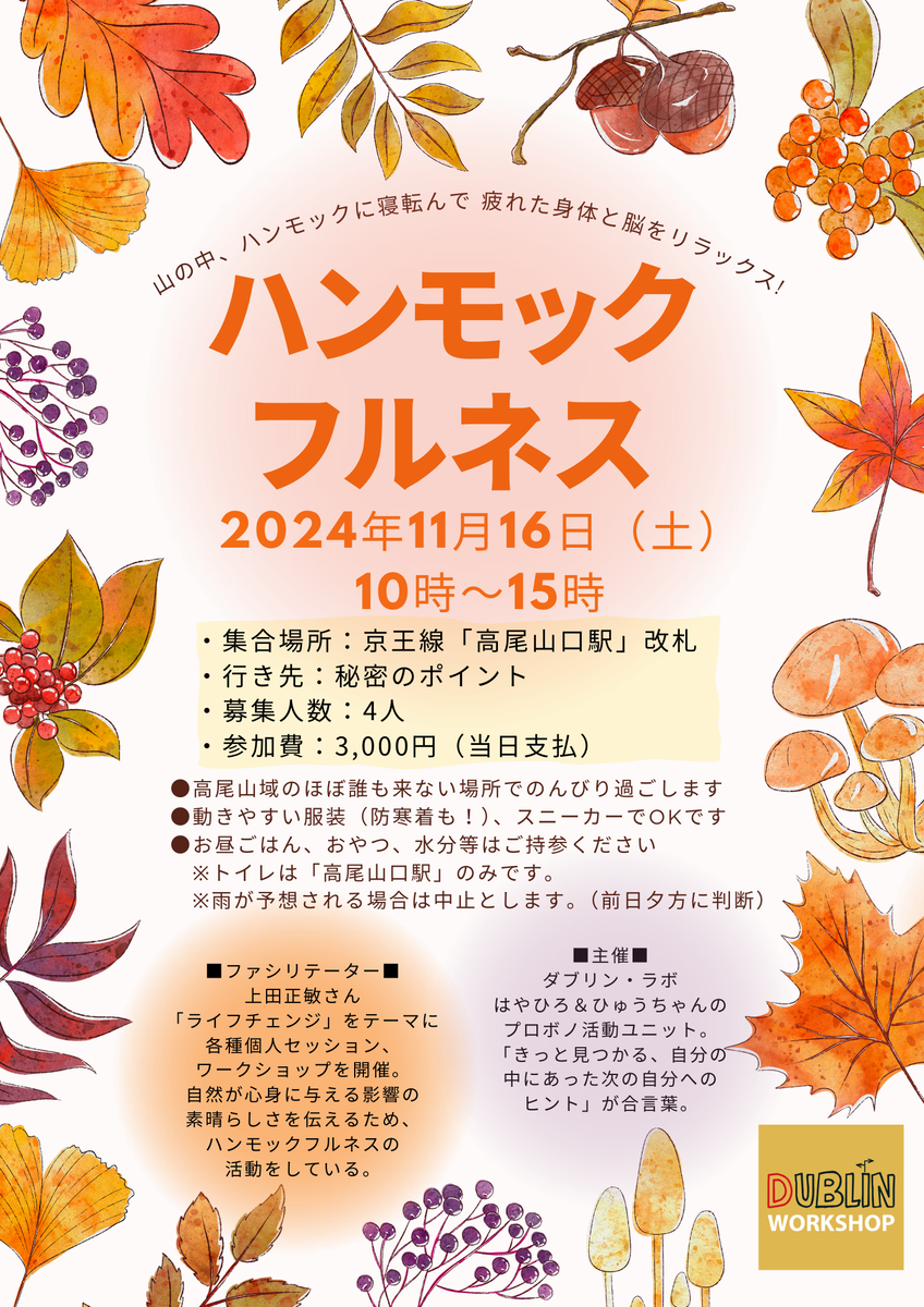 11月のダブリン・ラボは、野外に飛び出します！ ダブリンワークショップ