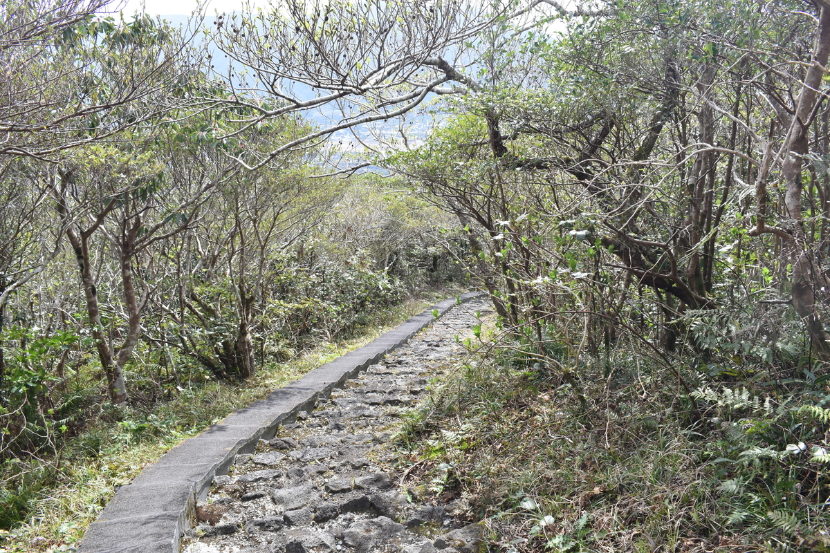 f:id:dubnium:20200307102544j:plain