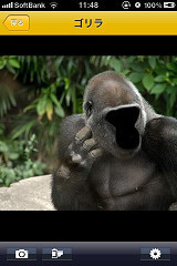 Photo 2月 22, 12 13 43 午後