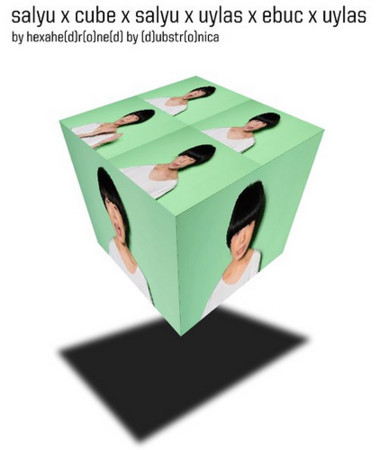 salyu x cube x salyu x uylas x ebuc x uylas :: hexahe(d)r(o)ne(d) by (d)ubstr(o)nica