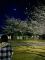 善光寺となり、城山公園の夜桜