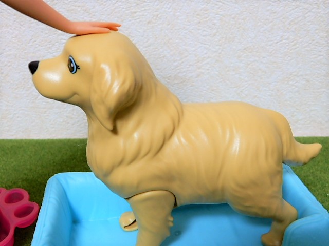 f:id:duckcar:20200111145346j:plain