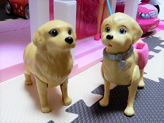 f:id:duckcar:20200111145552j:plain