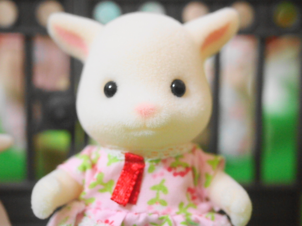 f:id:duckcar:20201029120815j:plain