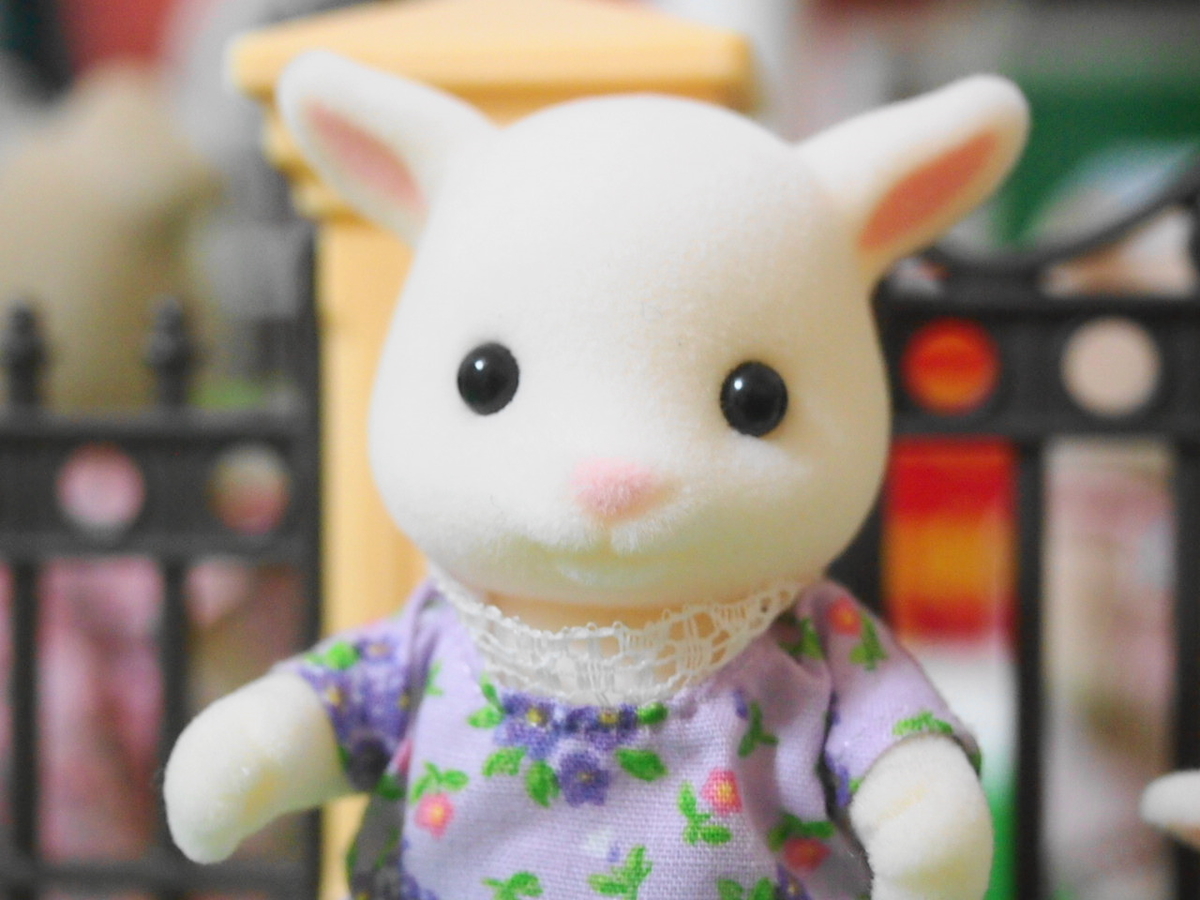 f:id:duckcar:20201029120916j:plain