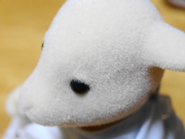 f:id:duckcar:20201029170959j:plain