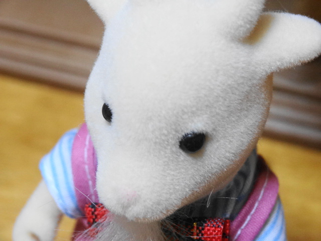 f:id:duckcar:20201029171007j:plain