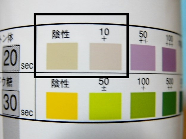 f:id:duckcar:20210504154945j:plain