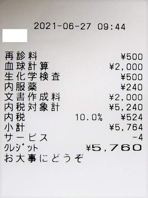 f:id:duckcar:20210627194507j:plain