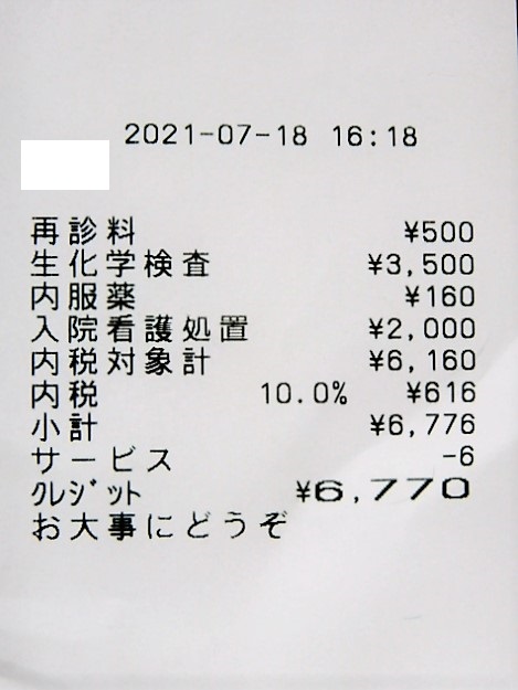 f:id:duckcar:20210719071735j:plain