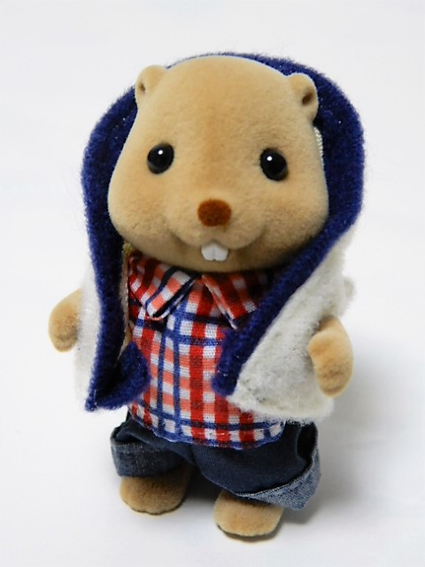 f:id:duckcar:20210720113043j:plain