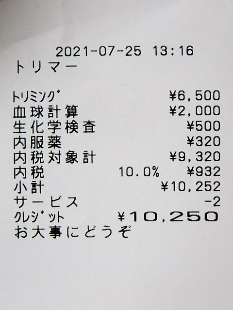 f:id:duckcar:20210726062829j:plain