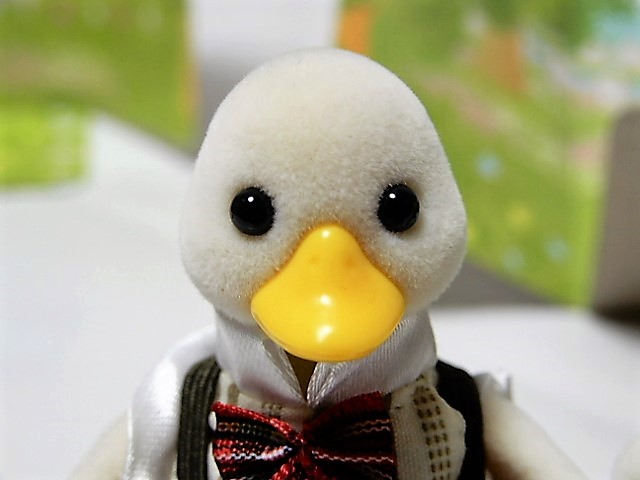 f:id:duckcar:20210728055440j:plain