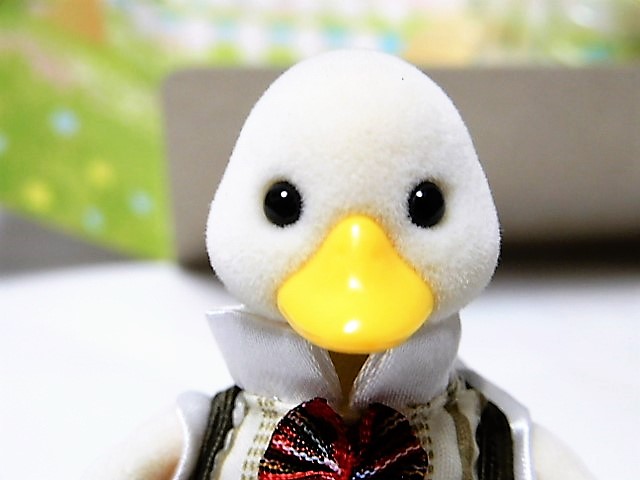 f:id:duckcar:20210728055451j:plain
