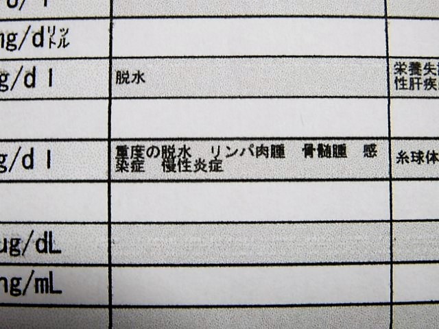 f:id:duckcar:20210906131403j:plain