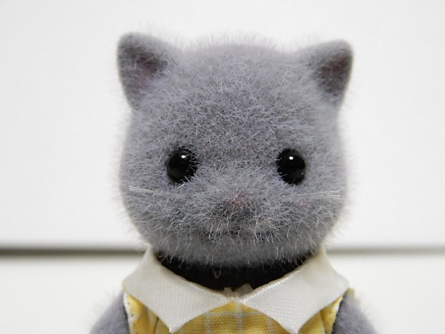 f:id:duckcar:20211006114200j:plain