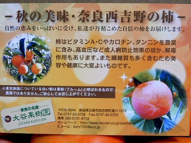 f:id:duckcar:20211018130645j:plain