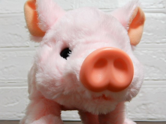 f:id:duckcar:20220201120731j:plain