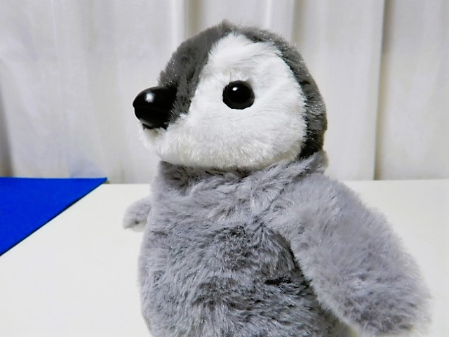 イワヤ】よちよちあるきのちぃぺんちゃん - 小さな世界