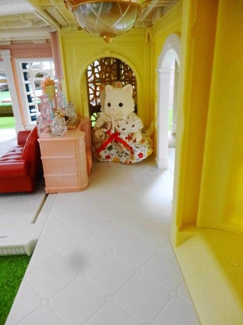DSC00556.jpg