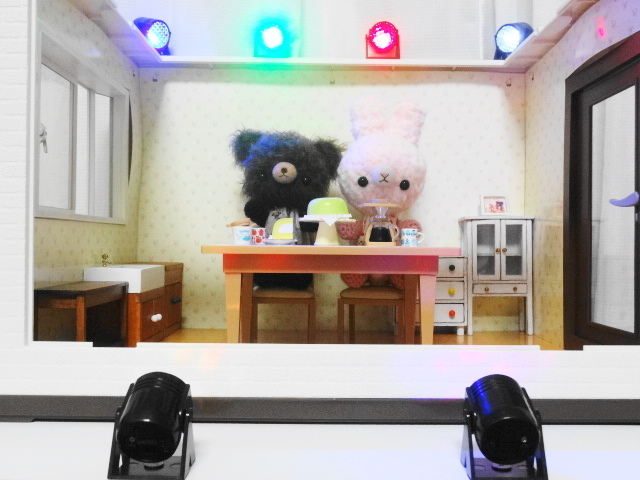 DSC01164.jpg