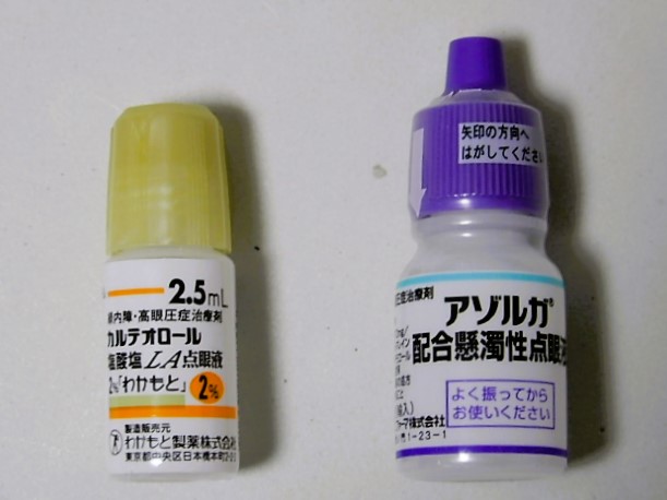 ネオブラジル点眼薬リーフレット