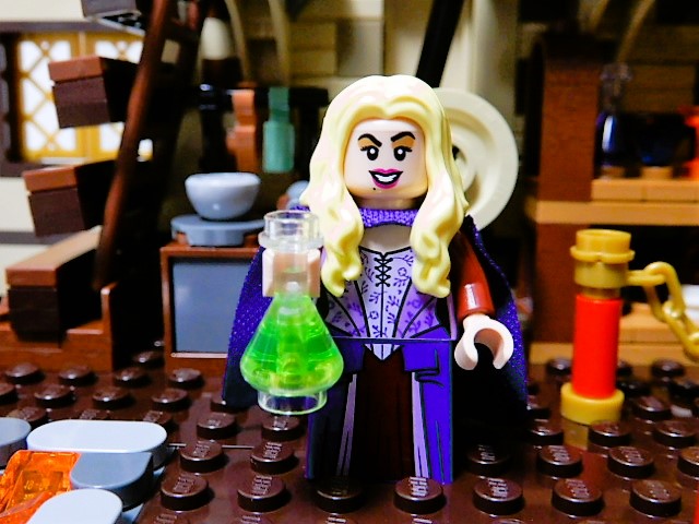 孔柏基　王女 LEGO】IDEAS 21341 ホーカスポーカス ④～⑧ - 小さな世界