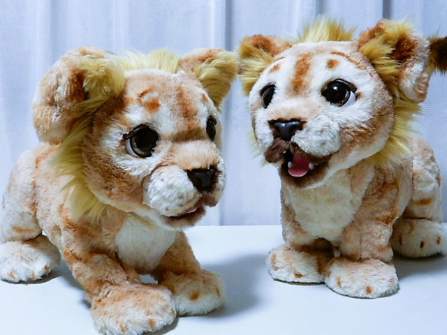 ファーリアル シンバ - 小さな世界