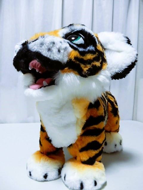 ファーリアル ロアーリング・タイラー - 小さな世界