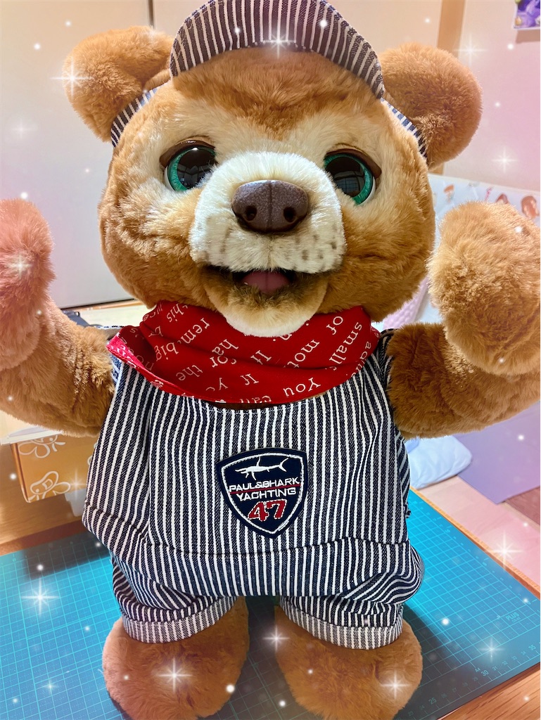 f:id:duckcar:20240924121632j:image