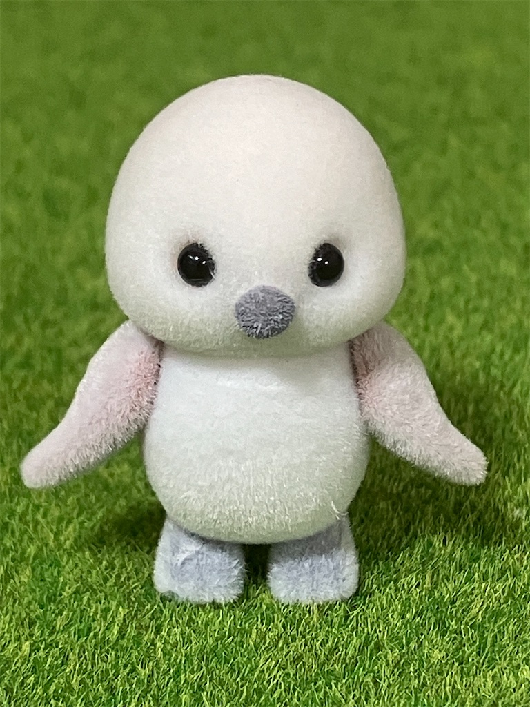 f:id:duckcar:20241020050153j:image