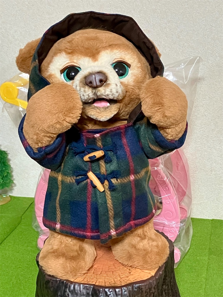 f:id:duckcar:20241210064940j:image