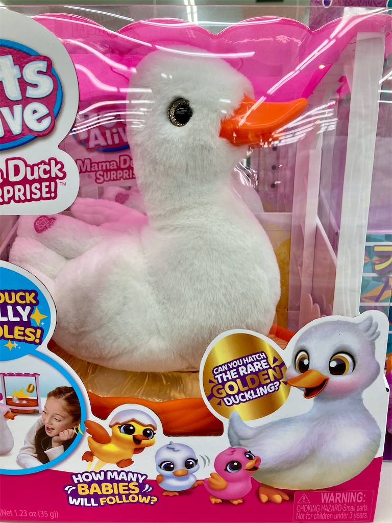 f:id:duckcar:20241222121639j:image