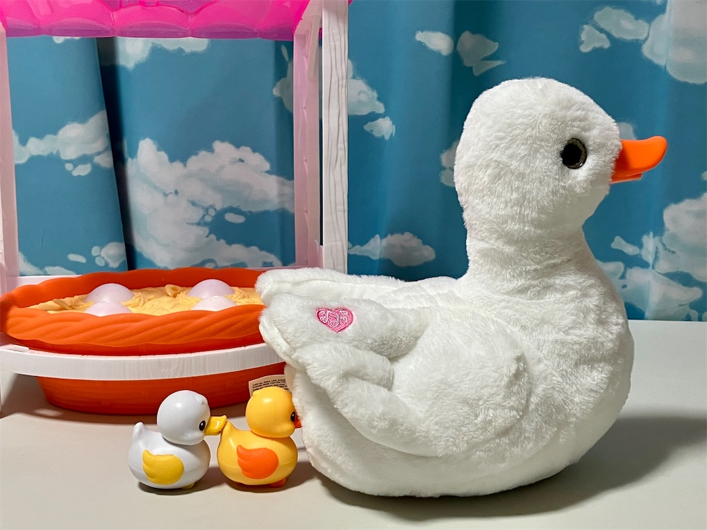 f:id:duckcar:20250101155743j:image