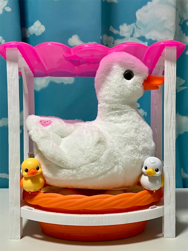 f:id:duckcar:20250101155754j:image