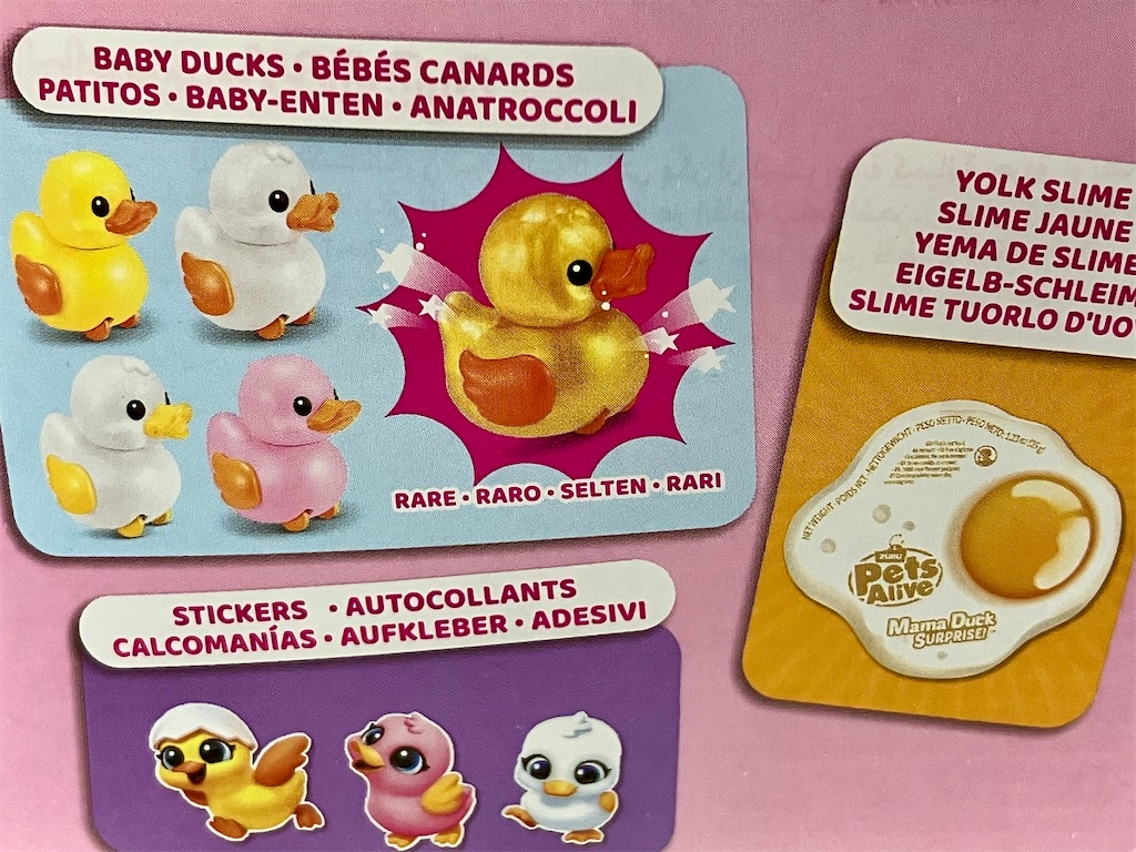 f:id:duckcar:20250101155757j:image