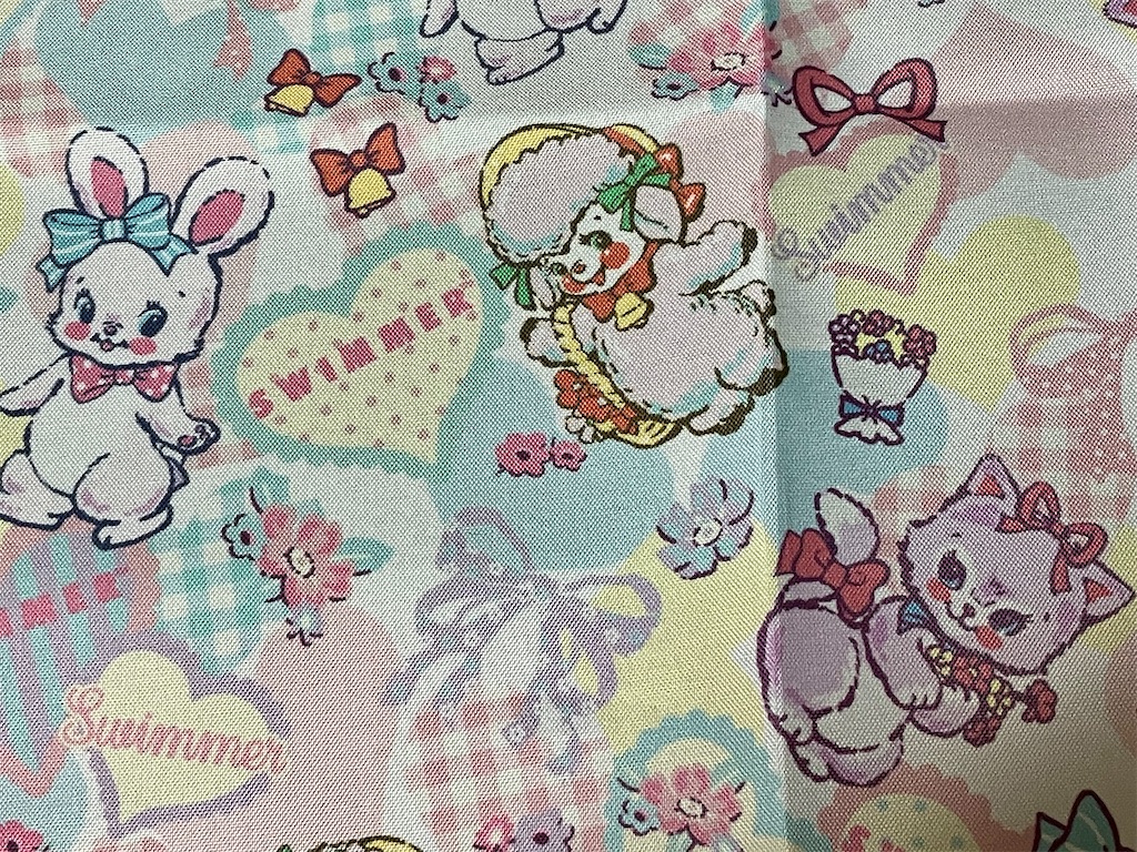 f:id:duckcar:20250217070323j:image