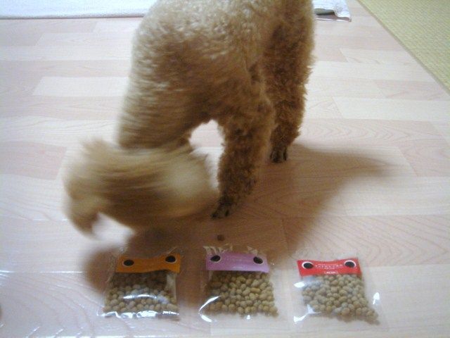 イメージ 5