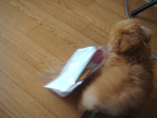 イメージ 5