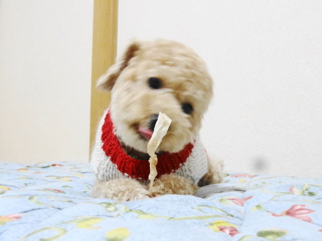 イメージ 8