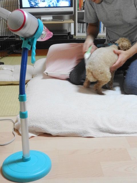 イメージ 4