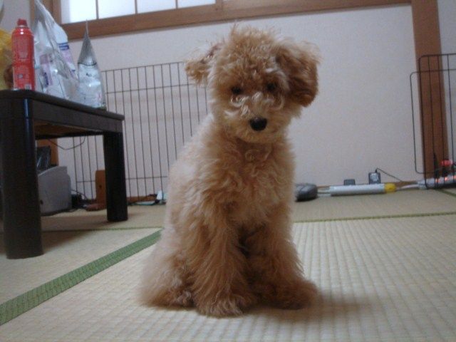 イメージ 2