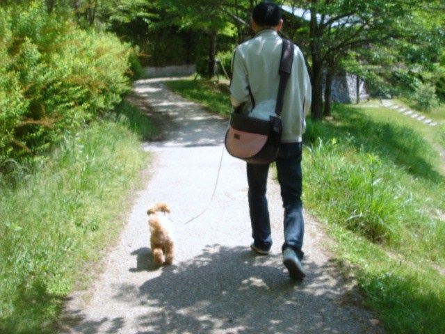 イメージ 10