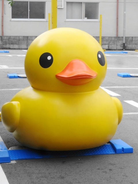 イメージ 7